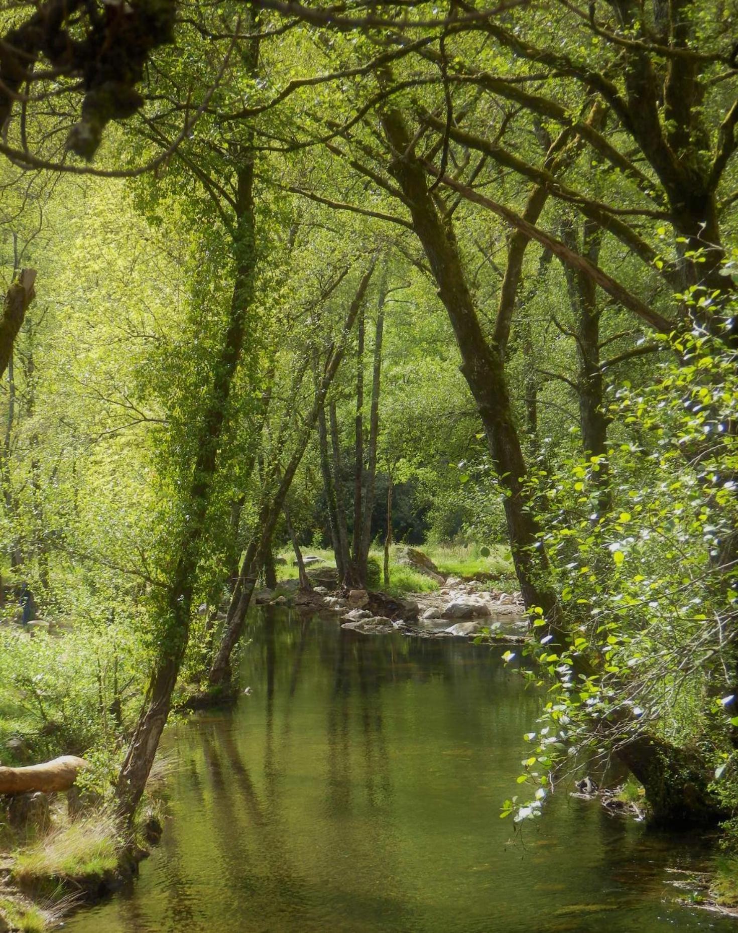 O Homem Verde Penela Exterior foto